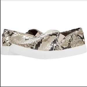 Steve Madden Safary Sneaker